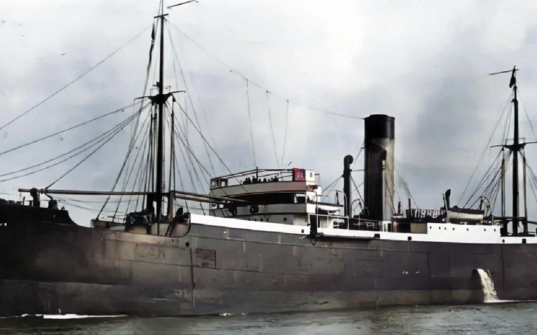 Conferencia de D. Luis Miguel Pérez Adán «El Castillo Olite»